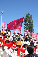 全国高校野球選手権茨城大会