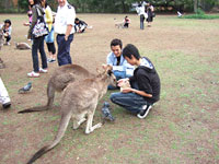 オーストラリア短期留学