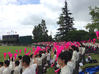 第96回全国高校野球選手権茨城大会２回戦会結果