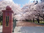 工学部